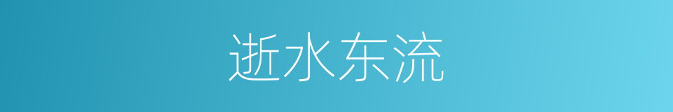 逝水东流的同义词