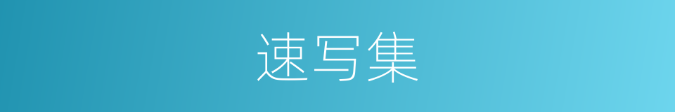 速写集的同义词