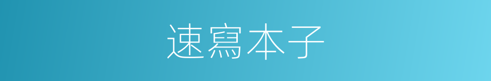 速寫本子的同義詞