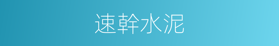 速幹水泥的同義詞