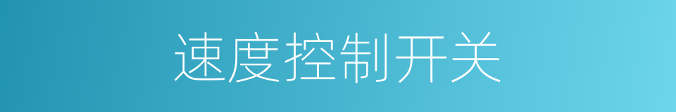 速度控制开关的同义词