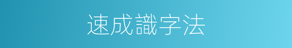 速成識字法的同義詞