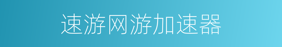 速游网游加速器的同义词