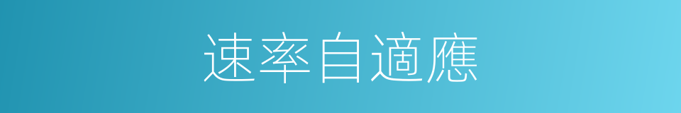 速率自適應的同義詞