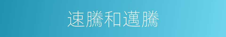 速騰和邁騰的同義詞