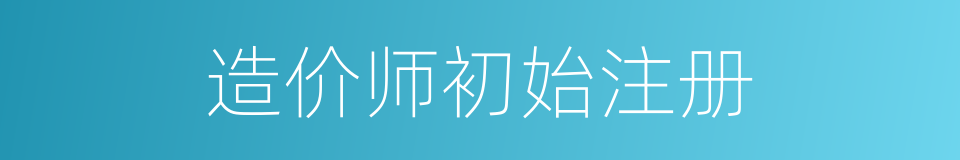 造价师初始注册的同义词