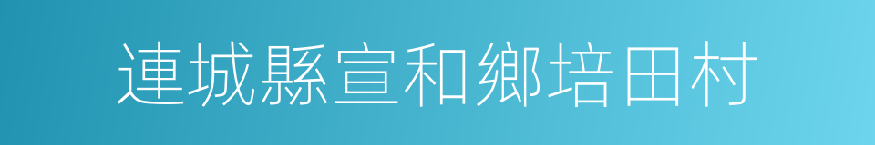 連城縣宣和鄉培田村的同義詞