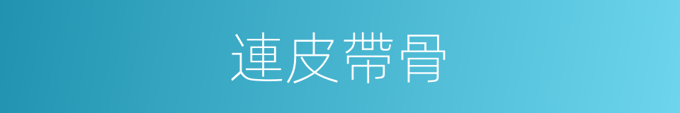 連皮帶骨的意思