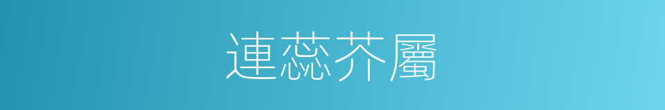連蕊芥屬的同義詞