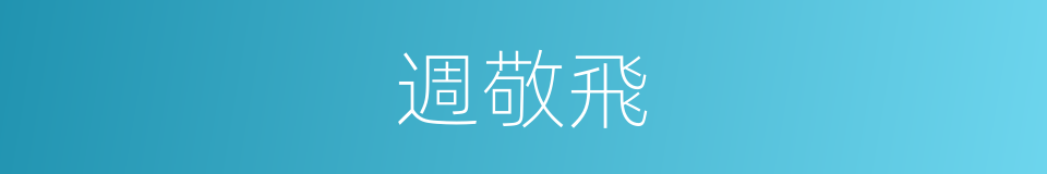 週敬飛的同義詞