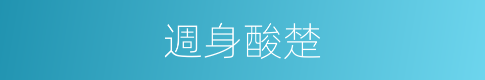 週身酸楚的同義詞