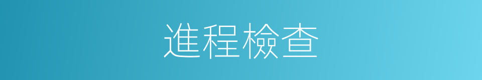 進程檢查的同義詞