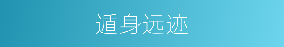 遁身远迹的意思
