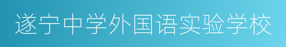 遂宁中学外国语实验学校的同义词