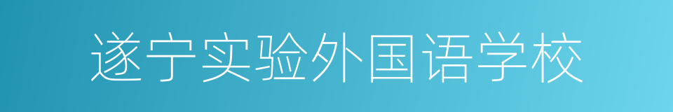 遂宁实验外国语学校的同义词