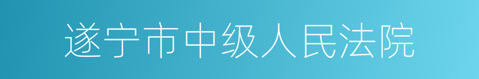 遂宁市中级人民法院的同义词