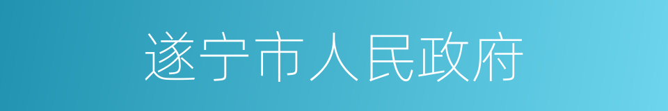 遂宁市人民政府的同义词