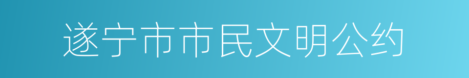 遂宁市市民文明公约的同义词