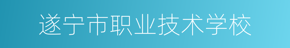 遂宁市职业技术学校的同义词