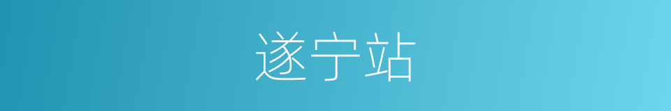 遂宁站的同义词