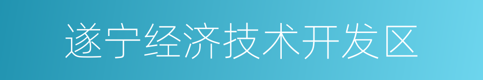 遂宁经济技术开发区的同义词