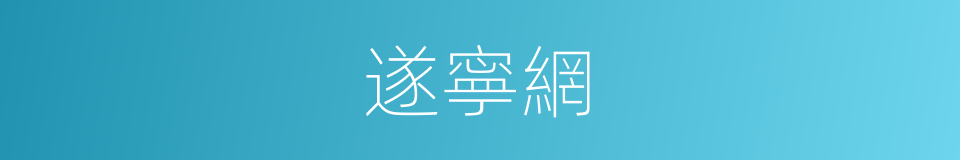 遂寧網的同義詞