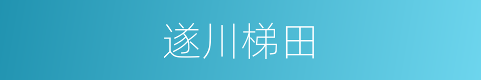 遂川梯田的同义词