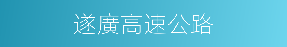 遂廣高速公路的同義詞