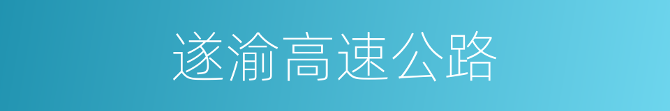 遂渝高速公路的同义词