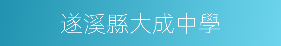 遂溪縣大成中學的同義詞