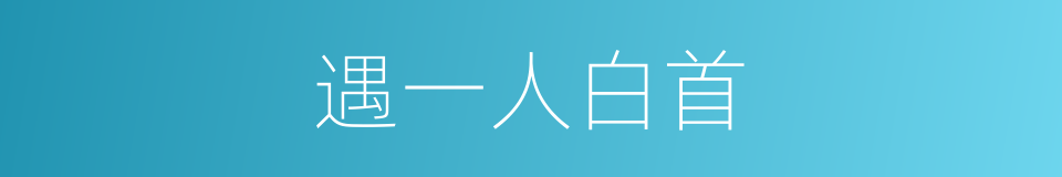 遇一人白首的同义词