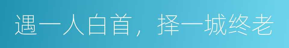 遇一人白首，择一城终老的同义词