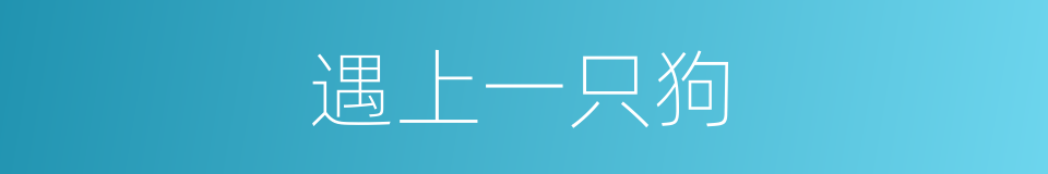 遇上一只狗的同义词