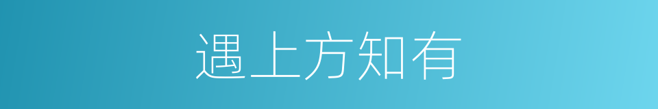 遇上方知有的同义词