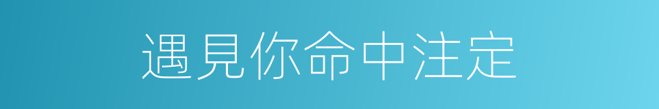 遇見你命中注定的同義詞
