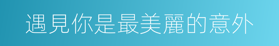 遇見你是最美麗的意外的同義詞