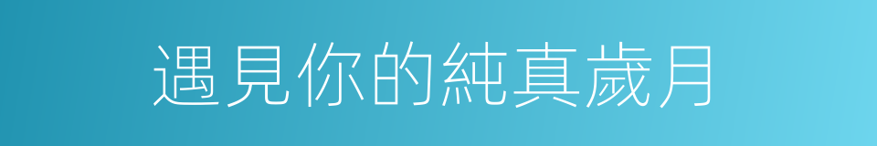 遇見你的純真歲月的同義詞