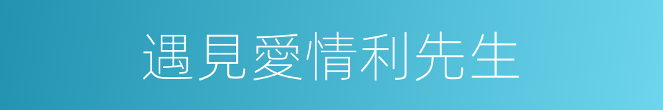 遇見愛情利先生的同義詞