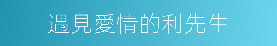 遇見愛情的利先生的同義詞
