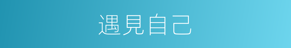 遇見自己的同義詞