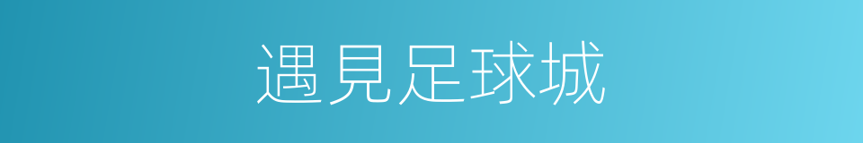 遇見足球城的同義詞