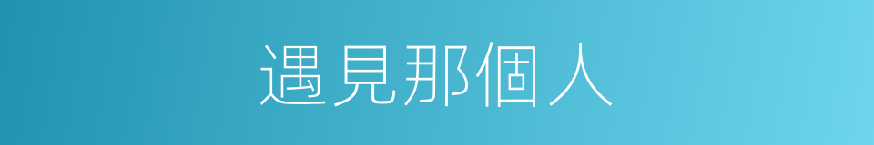 遇見那個人的同義詞