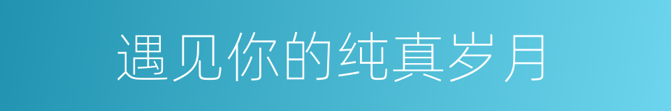 遇见你的纯真岁月的同义词