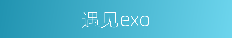遇见exo的同义词