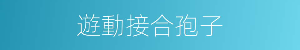 遊動接合孢子的同義詞