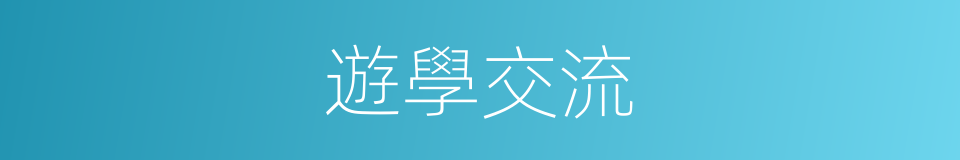 遊學交流的同義詞