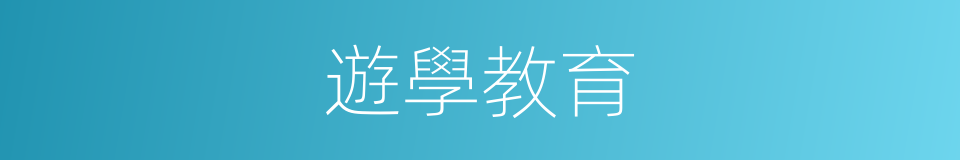 遊學教育的同義詞