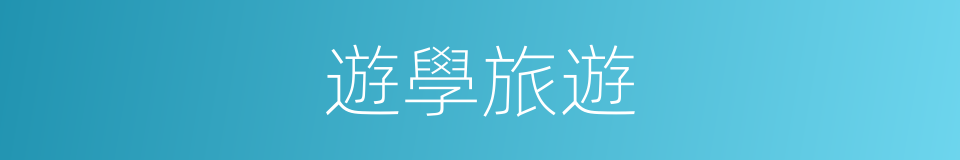 遊學旅遊的同義詞