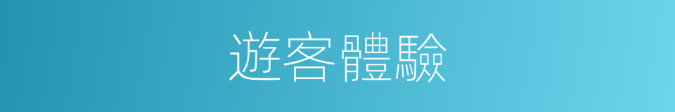遊客體驗的同義詞