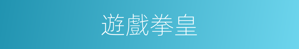 遊戲拳皇的同義詞